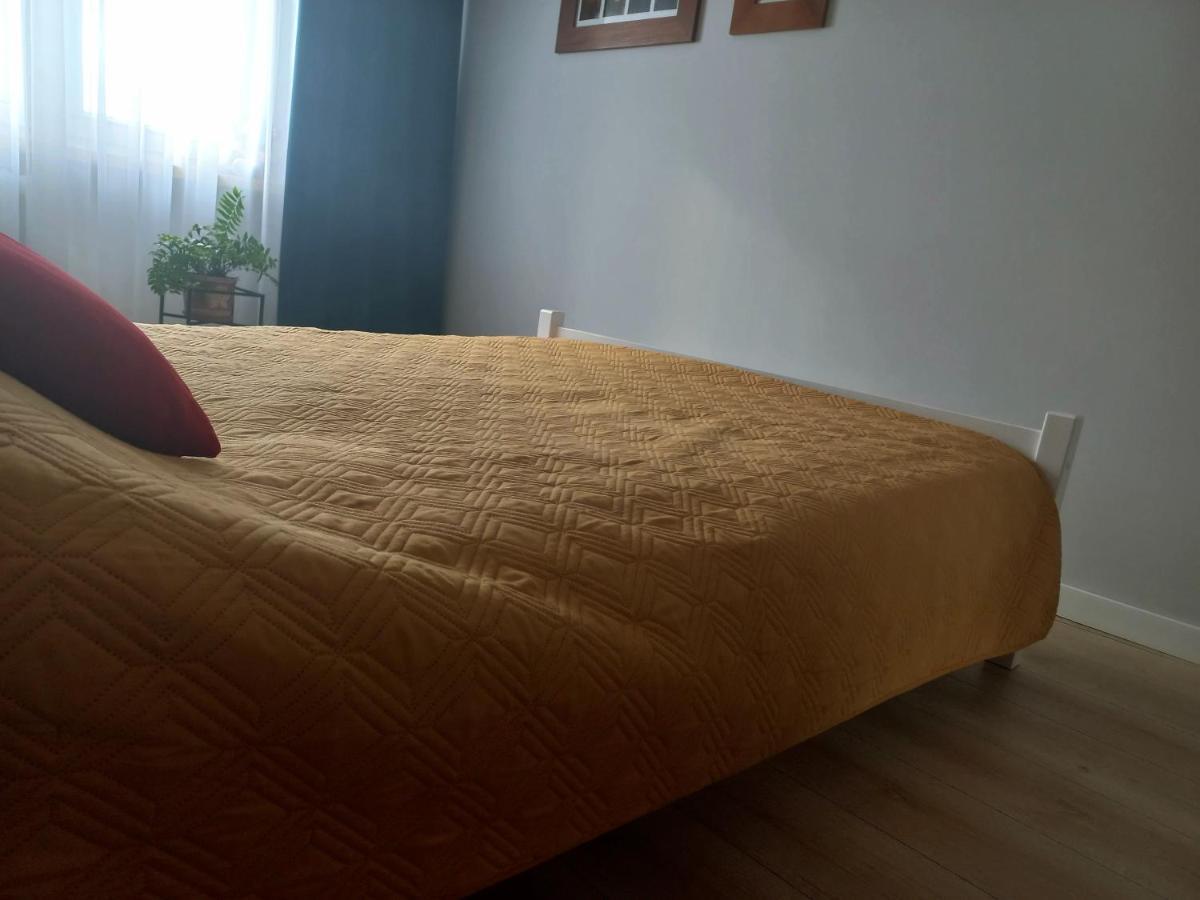 Mieszkanie Na Staszica W Gizycku Apartment